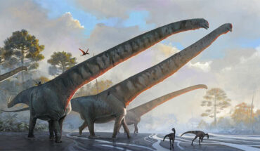 A rendering of Mamenchisaurus sinocanadorum. Image credit: Júlia d’Oliveira.