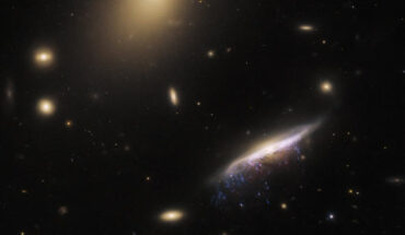 This Hubble image shows the jellyfish galaxy JW100 (seen edge-on in the lower right). Image credit: NASA / ESA / Hubble / M. Gullieuszik / GASP Team.