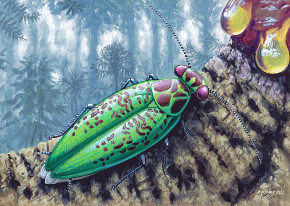 Life reconstruction of Alienopterix santonicus with hypothetical greenish-reddish coloration. Image credit: Márton Zsoldos.