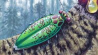 Life reconstruction of Alienopterix santonicus with hypothetical greenish-reddish coloration. Image credit: Márton Zsoldos.