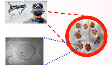 Faisal et al. demonstrated three-dimensional micropatterned sensors based on a subnanometer-thick epitaxial graphene for detecting the electroencephalography signal from the challenging occipital region of the head. Image credit: Faisal et al., doi: 10.1021/acsanm.2c05546.