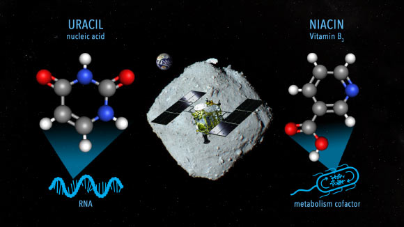Oba et al. report the detection of uracil, one of the four nucleobases in ribonucleic acid, in aqueous extracts from Ryugu samples. Image credit: NASA’s Goddard Space Flight Center / JAXA / Dan Gallagher.