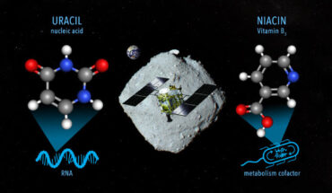 Oba et al. report the detection of uracil, one of the four nucleobases in ribonucleic acid, in aqueous extracts from Ryugu samples. Image credit: NASA’s Goddard Space Flight Center / JAXA / Dan Gallagher.