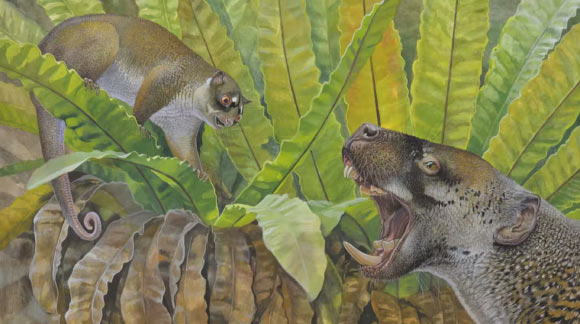 Life reconstruction of Ektopodon serratus (top left), a relative of Chunia pledgei, and the marsupial lion Wakaleo oldfieldi (right). Image credit: Peter Schouten / CC BY-SA.