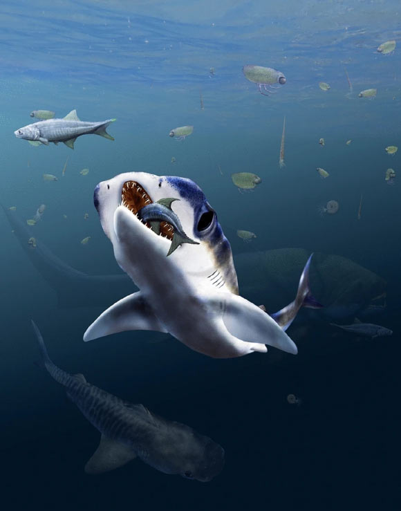 Reconstruction of Maghriboselache mohamezanei in its habitat. Thylacocephalans, cephalopods with orthoconic conchs, placoderms such as Dunkleosteus and osteichthyans populated the water column during the middle Famennian in the Anti-Atlas of Morocco. Image credit: Klug et al., doi: 10.1186/s13358-023-00266-6.