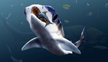 Reconstruction of Maghriboselache mohamezanei in its habitat. Thylacocephalans, cephalopods with orthoconic conchs, placoderms such as Dunkleosteus and osteichthyans populated the water column during the middle Famennian in the Anti-Atlas of Morocco. Image credit: Klug et al., doi: 10.1186/s13358-023-00266-6.