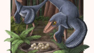 An artist’s impression of two Troodon formosus near their nest. Image credit: Alex Boersma / PNAS.