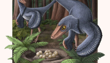 An artist’s impression of two Troodon formosus near their nest. Image credit: Alex Boersma / PNAS.