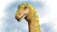 Life reconstruction of the head of Diamantinasaurus matildae. Image credit: Elena Marian.
