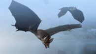 Life recontsruction of Palaeochiropteryx bats. Image credit: Obsidian Soul / CC BY-SA 3.0.