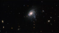 This Hubble image shows JO175, a jellyfish galaxy located 650 million light-years away in the constellation of Telescopium. Image credit: NASA / ESA / Hubble / M. Gullieuszik / GASP Team.