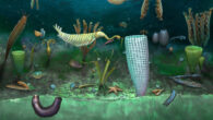 Reconstruction of the Castle Bank community; sponge in foreground is 2 cm tall. Image credit: Botting et al., doi: 10.1038/s41559-023-02038-4.