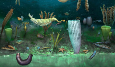 Reconstruction of the Castle Bank community; sponge in foreground is 2 cm tall. Image credit: Botting et al., doi: 10.1038/s41559-023-02038-4.