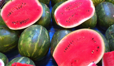 Watermelons. Image credit: Jorge Furber.