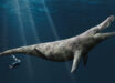 An artist’s impression of the Kimmeridge Clay pliosaur. Image credit: Megan Jacobs, University of Portsmouth.