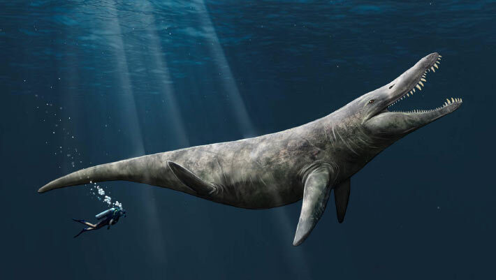An artist’s impression of the Kimmeridge Clay pliosaur. Image credit: Megan Jacobs, University of Portsmouth.