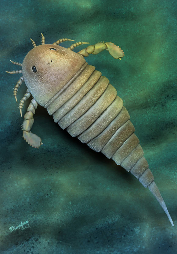 Life reconstruction of the eurypterid Archopterus anjiensis. Image credit: Dinghua Yang.