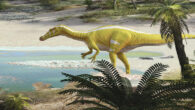 Life reconstruction of Protathlitis cinctorrensis. Image credit: Oscar Sanisidro / Grup Guix.