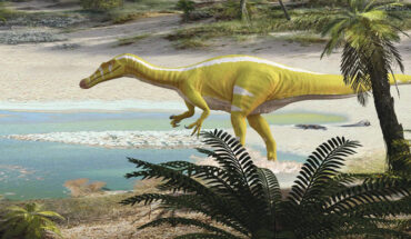 Life reconstruction of Protathlitis cinctorrensis. Image credit: Oscar Sanisidro / Grup Guix.