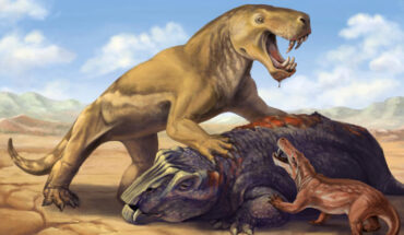 Inostrancevia with its dicynodont prey, scaring off the much smaller African species Cyonosaurus. Image credit: Matt Celeskey.