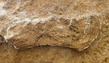 The 153,000-year-old footprint, lightly ringed with chalk, in the Garden Route National Park, South Africa; it appears long and narrow because the trackmaker dragged their heel. Image credit: Charles Helm.