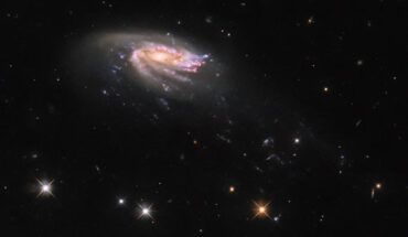 In this Hubble image, the disk of the jellyfish galaxy JO206 is trailed by long tendrils of bright star formation that stretch towards the bottom right of the image, just as jellyfish trail tentacles behind them. The color image was made from separate exposures taken in the visible, ultraviolet and near-infrared regions of the spectrum with Hubble’s Wide Field Camera 3 (WFC3). The image is based on data obtained through six filters. The color results from assigning different hues to each monochromatic image associated with an individual filter. Image credit: NASA / ESA / Hubble / M. Gullieuszik / GASP Team.