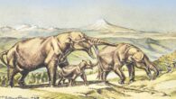 Life reconstruction of Rhynchotherium gomphotheres. Image credit: Margret Flinsch / Sci.News.