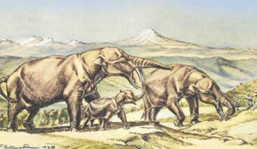 Life reconstruction of Rhynchotherium gomphotheres. Image credit: Margret Flinsch / Sci.News.