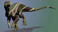 Life reconstruction of Iani smithi. Image credit: Jorge Gonzalez.