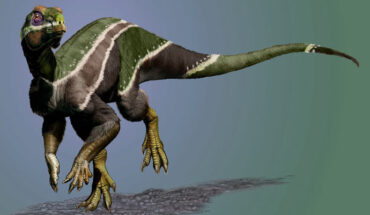 Life reconstruction of Iani smithi. Image credit: Jorge Gonzalez.