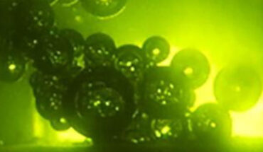 Strong evidence suggesting that frying in space is possible. Image credit: Lioumbas et al., doi: 10.1016/j.foodres.2022.112249.