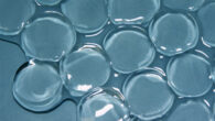 Polyacrylamide hydrogel disks. Image credit: Gustav Graeber / Carlos D. Díaz-Marín.