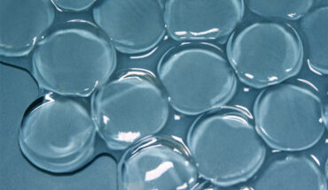 Polyacrylamide hydrogel disks. Image credit: Gustav Graeber / Carlos D. Díaz-Marín.