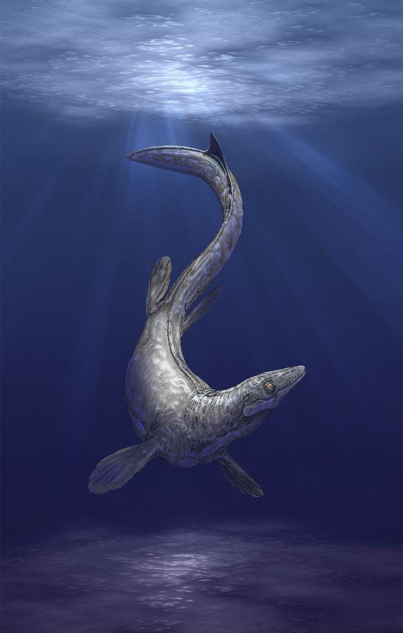 Life reconstruction of the mosasaur Plioplatecarpus, a distant relative of Sarabosaurus dahli. Image credit: Sci.News / Dmitry Bogdanov.