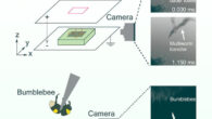Chiba et al. found that dauer larvae of Caenorhabditis elegans nictating on a substrate in a Petri dish moved directly to the lid through the air due to the electrostatic force from the lid. Image credit: Chiba et al., doi: 10.1016/j.cub.2023.05.042.
