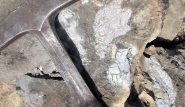 Jurassic bone fragments (white) in gray-tan, sandy limestone matrix; rock hammer for scale. Image credit: May et al., doi: 10.24872/rmgjournal.58.1.19.