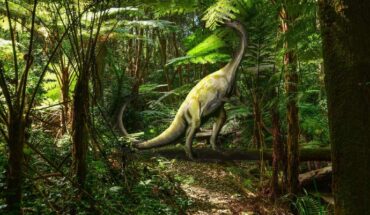 Massospondylus carinatus. Image credit: Nobu Tamura, http://spinops.blogspot.com / Patty Jansen / Sci.News.