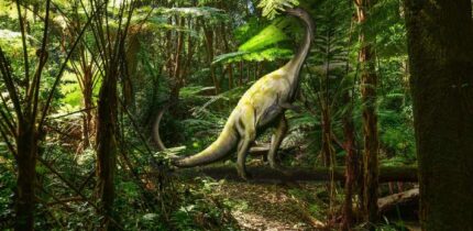 Massospondylus carinatus. Image credit: Nobu Tamura, http://spinops.blogspot.com / Patty Jansen / Sci.News.