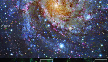 Hubble image of NGC 6946, the host galaxy of both SNe 2004et and 2017eaw. Bottom left-hand panel: composite image of SN 2004et taken with Webb/MIRI. Bottom right-hand panel: composite image of SN 2017eaw taken with Webb/MIRI. Image credit: NASA / ESA / CSA / Ori Fox, STScI / Melissa Shahbandeh, STScI / Alyssa Pagan, STScI.