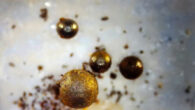 Tiny meteoritic spherules from the most likely path of IM1. Image credit: Avi Loeb, Harvard University / Galileo Project.