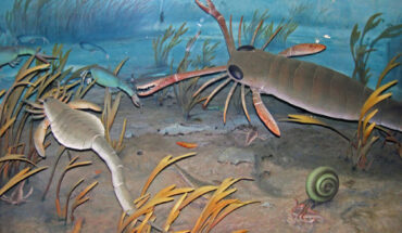 Boulila et al. highlight a common, correlatable 36-million-year cycle in the diversity of marine genera as well as in tectonic, sea-level, and macrostratigraphic data over the past 250 million years of Earth history. Image credit: James St. John / CC BY 2.0.