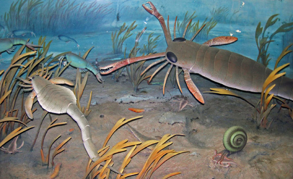 Boulila et al. highlight a common, correlatable 36-million-year cycle in the diversity of marine genera as well as in tectonic, sea-level, and macrostratigraphic data over the past 250 million years of Earth history. Image credit: James St. John / CC BY 2.0.