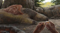 An artist’s impression of the Santa Elina rock shelter, Brazil. Image credit: Júlia D’Oliveira.