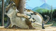 Illustration showing Repenomamus robustus as it attacks Psittacosaurus lujiatunensis before a volcanic debris flow buries them both, approximately 125 million years ago. Image credit: Michael Skrepnick.