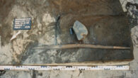 The 300,000-year-old double-pointed wooden stick at the site of Schöningen in Germany. Image credit: Peter Pfarr.