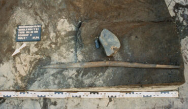 The 300,000-year-old double-pointed wooden stick at the site of Schöningen in Germany. Image credit: Peter Pfarr.