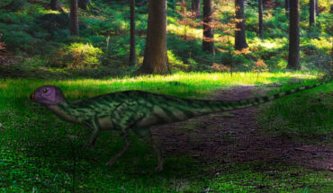 Reconstruction of Minimocursor phunoiensis. Image credit: Sci.News / Sita Manitkoon / Peter Lutz.