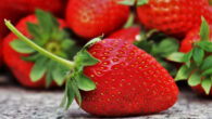 Daily strawberry consumption was linked to improved cognitive function, lower blood pressure and higher antioxidant capacity. Image credit: Pasja1000.