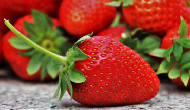 Daily strawberry consumption was linked to improved cognitive function, lower blood pressure and higher antioxidant capacity. Image credit: Pasja1000.