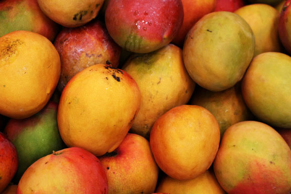 Mangoes are one of the most popular fruits in the world, grown in more than 100 countries globally and consumed by an extremely diverse population. Image credit: Daniel Dan.